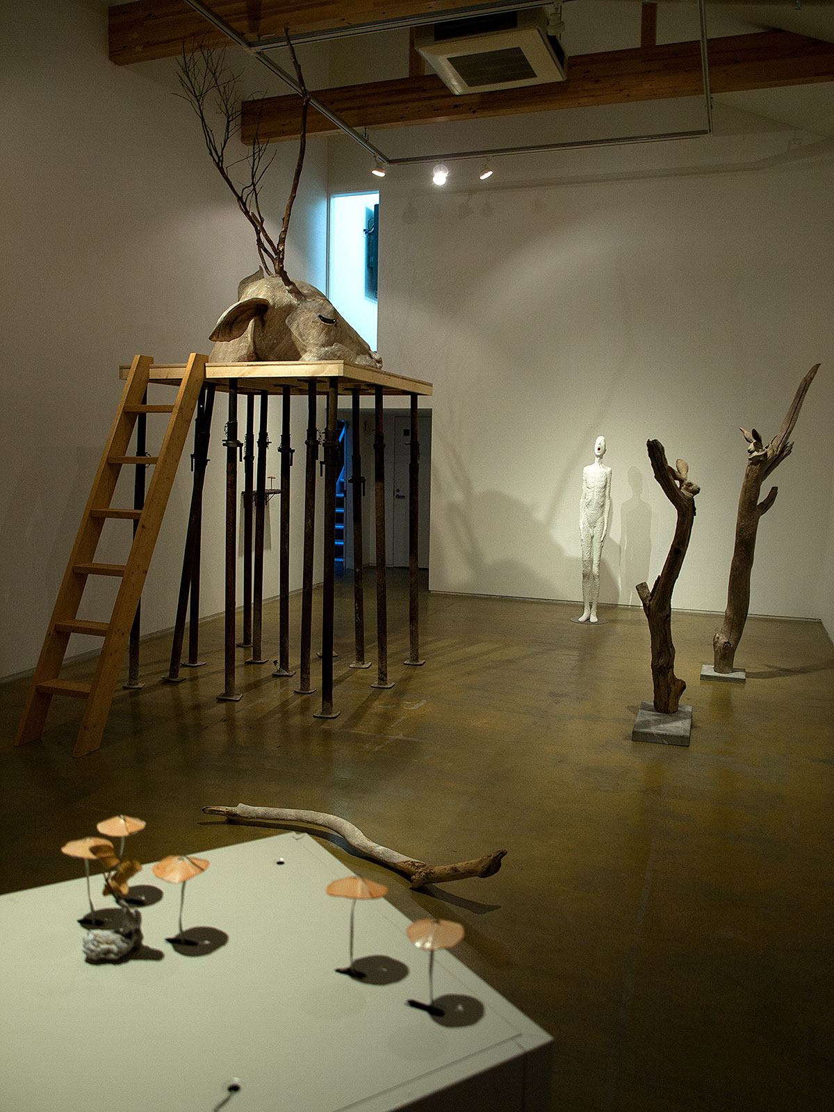 「今村源＋東影智裕: 共生 / 寄生 − Forest」Gallery Nomart 2015（大阪府 大阪市）