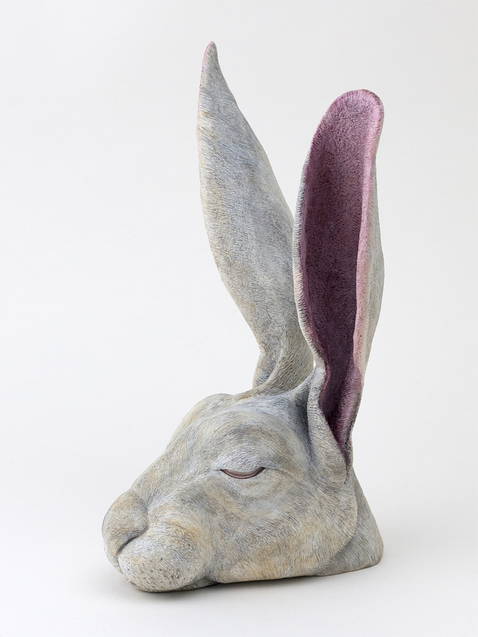 2011-3-rabbit-s-004